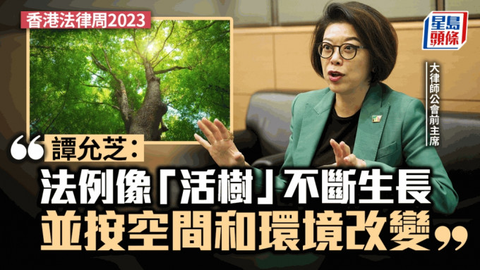 大律师公会前主席、香港故宫博物馆董事局主席谭允芝向《星岛》表示，法例像一棵「活树」，不断生长并按空间和环境改变。资料图片