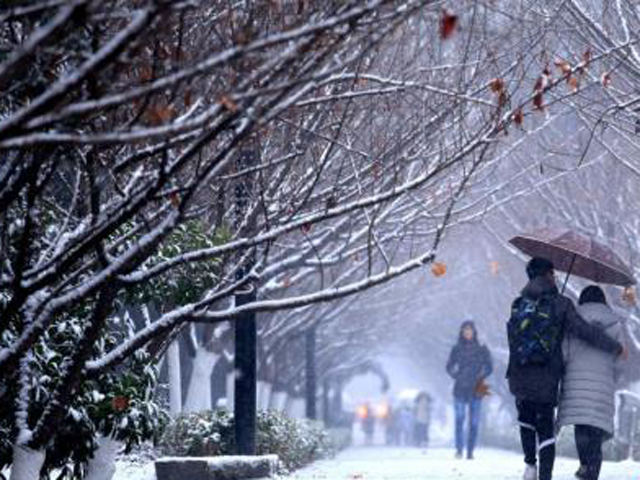 西安迎來2018年第一場降雪。 網上圖片