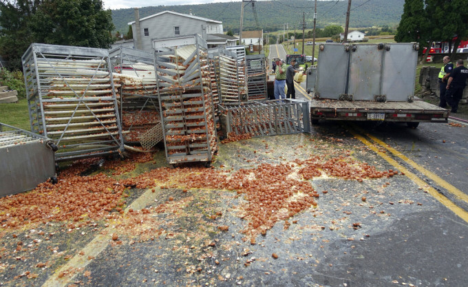 美国一辆大货车在一条公路行驶上斜坡时货物移位，超过13.6万只蛋跌出车外。　AP
