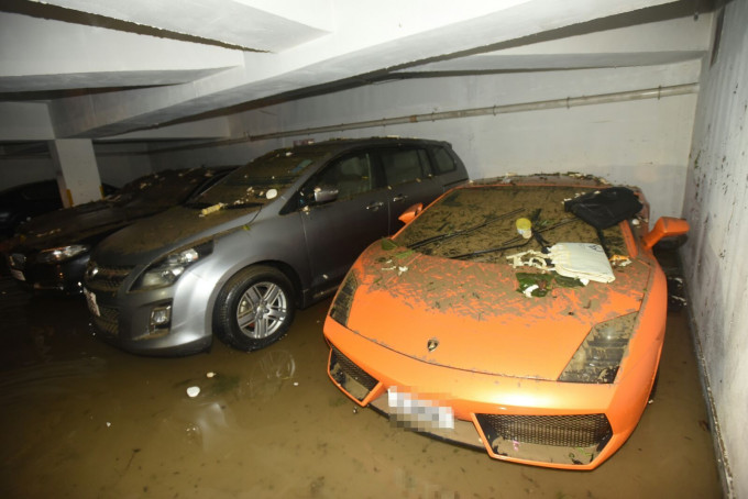 价值逾250万元的林宝坚尼跑车(右)。徐裕民摄