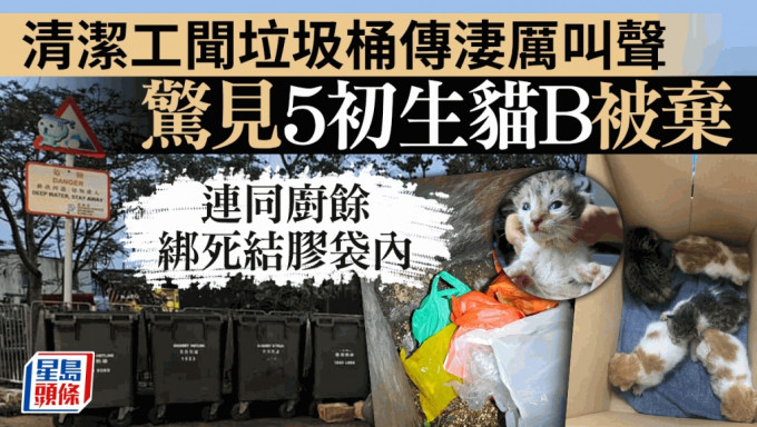 5只初生猫只被弃粉锦公路垃圾桶内。（Facebook专页「毛守救援」图片）
