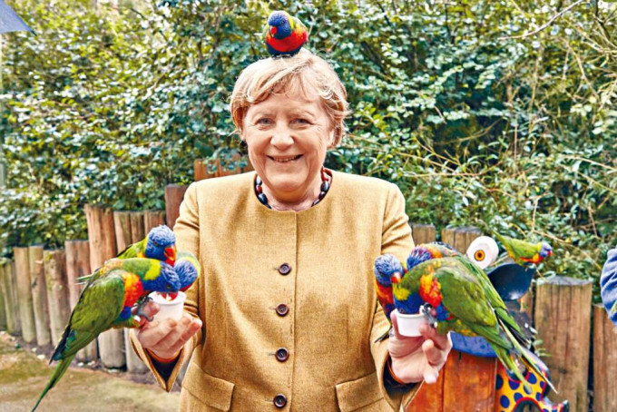 ■即將卸任的總理默克爾，上周四抽空到雀鳥公園餵雀。