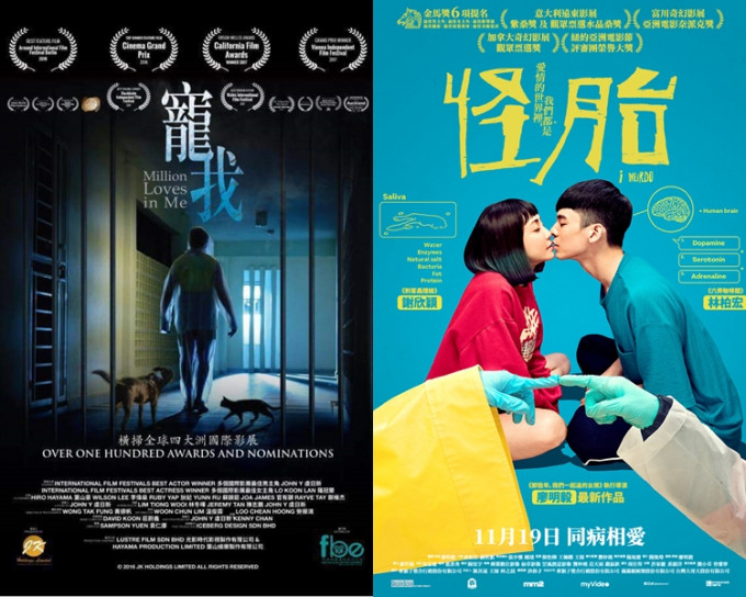 《宠我》指台湾电影《怪胎》涉抄袭。 网图