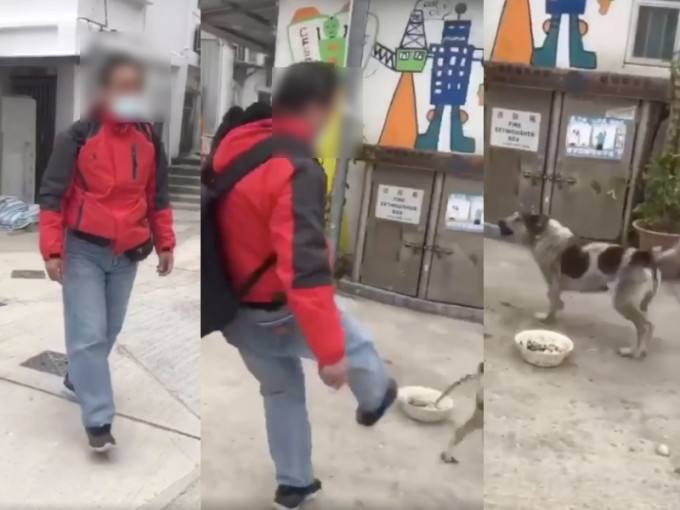 早前涉于鲤鱼门三家村踢狗的59岁男子今日被捕。香港动物报FB