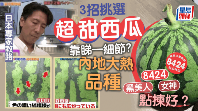 日本专家教3招目测挑选超甜西瓜 西瓜品种8424/黑美人/女神如何分辨？