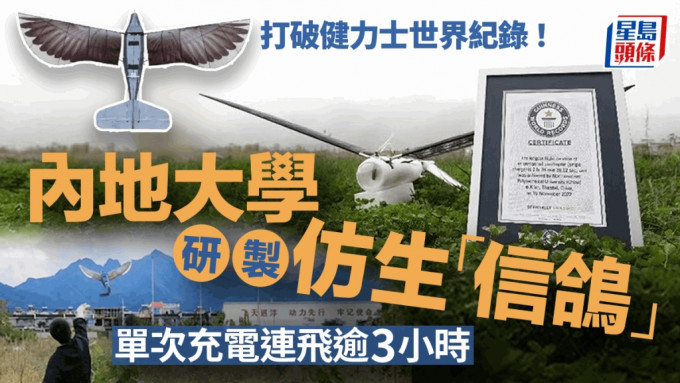 內地大學研製仿生「信鴿」 打破撲翼式無人機續航世界紀錄