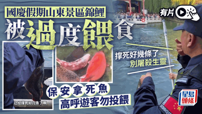 山東景區保安手拿死魚勸阻遊客投餵。