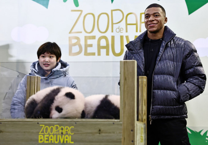 法国著名球星麦巴比与中国跳水奥运会冠军张家齐揭晓大熊猫幼崽姓名。路透社图片