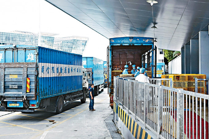 跨境貨車司機需持健康認證碼供深圳海關工作人員驗核。 資料圖片