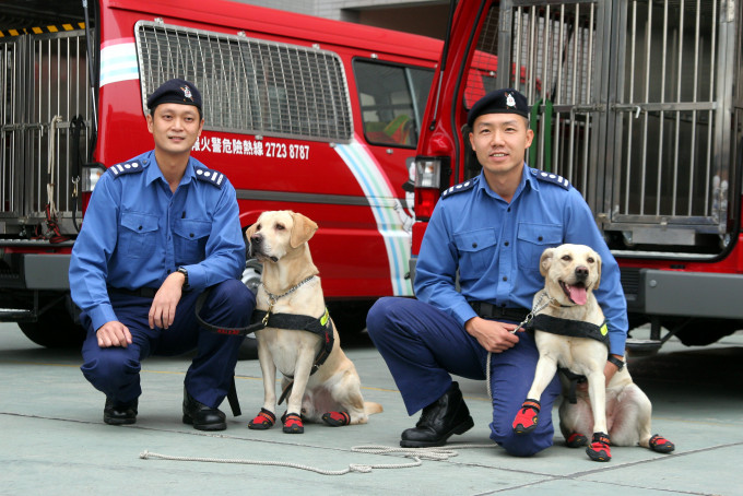 消防處工作犬會輪流當值，「返1日、放1至2日」。 資料圖片