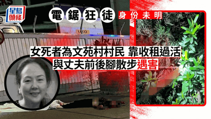 元朗电锯谋杀案｜女死者与丈夫前后脚散步遇害  凶徒身份未明