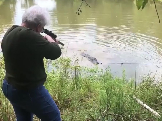 73岁婆婆科克伦一枪轰毙一只怀疑吃掉她爱驹的鳄鱼。（网图）