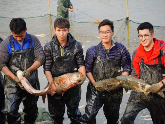 武汉高校办鱼宴。