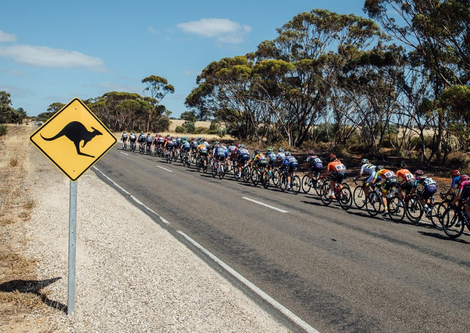 環澳洲單車賽連續兩年取消。 環澳洲單車賽官網圖片