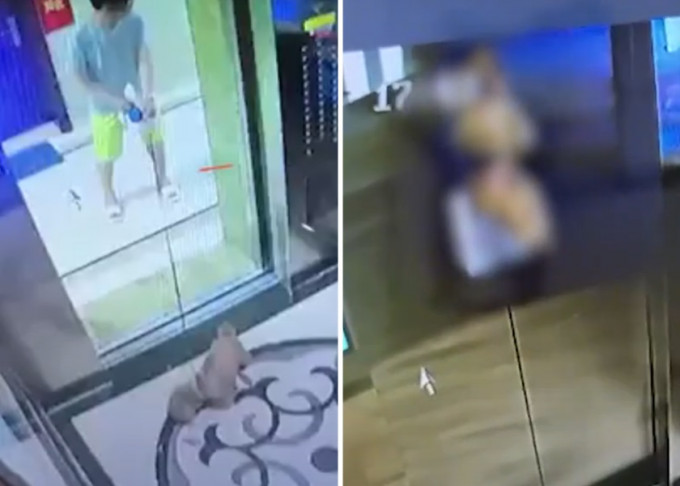 深圳有狗主不小心讓小狗獨進電梯，使牠被吊起險喪命。影片截圖