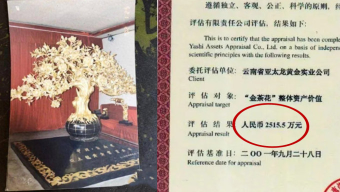 黄金艺术品「永不凋谢的金茶花」放银行不翼而飞，2001年其中一棵估价2515万元。