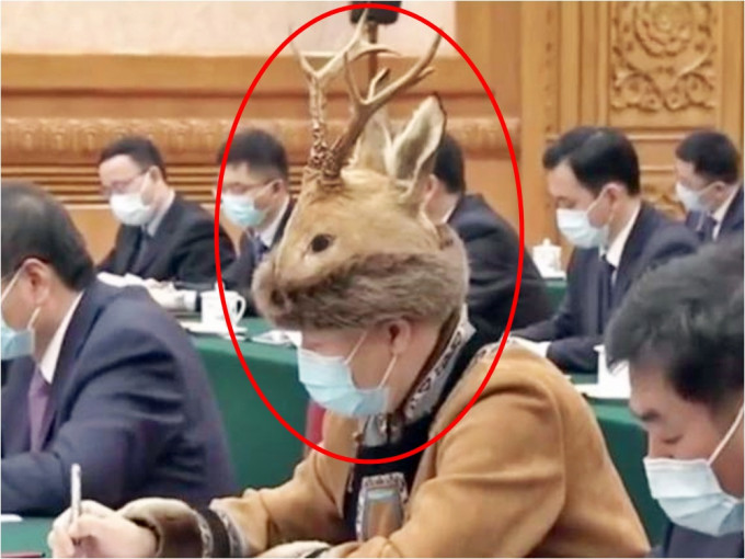 一名人大代表穿戴的「小鹿帽」引起網民熱議。網圖