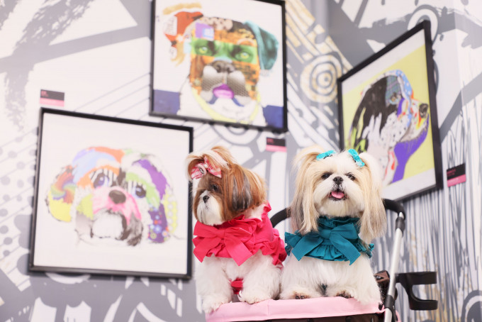 可于爱犬画廊，拍下当西施遇上西施画作。
