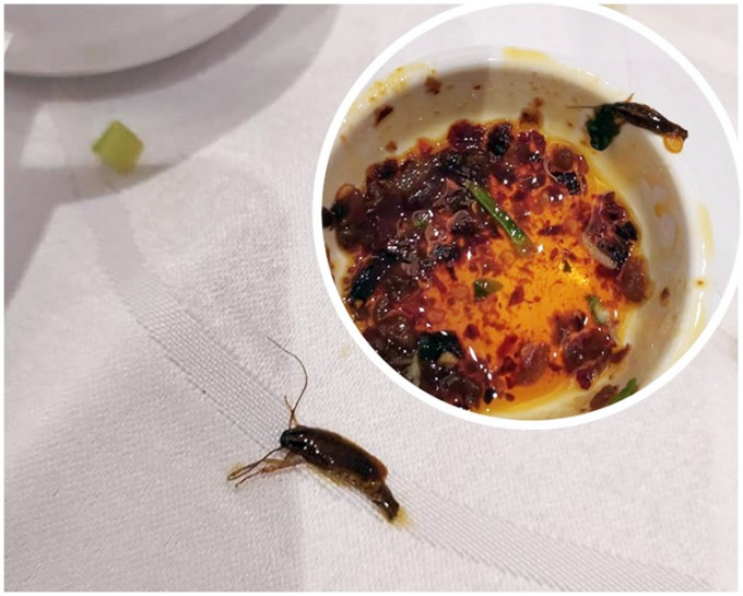 辣蟑螂颜色与辣椒油其他材料相近。fb「香港自助餐夹食集中讨论区 hk buffet group」图片