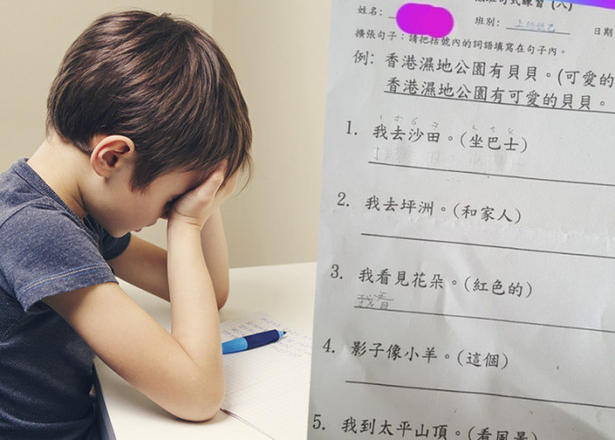 有家长分享其就读K2儿子的中文功课，要求学生扩充句子。