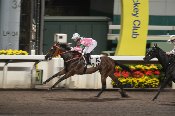 巴度策「駿皇星」贏得在港的第一百場頭馬。