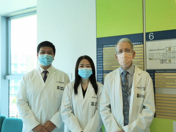 港大医学院揭示新型冠状病毒令血管受损的机制。（图左至右）公共衞生学院副教授陈志伟博士、公共衞生学院助理教授许佩茵博士，以及病理学系临床教授黎国思教授。