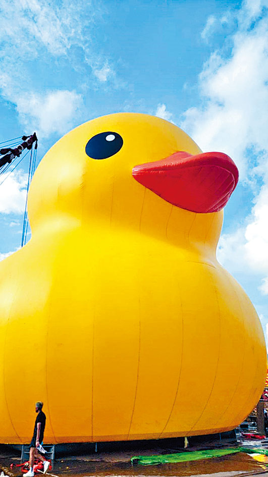 「中暑」的巨型黄鸭在青衣船厂再度充气，准备归队。
