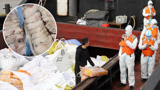 牛肉牛肚无合法来源证明，上海海警查获涉嫌走私冻品两百馀吨。