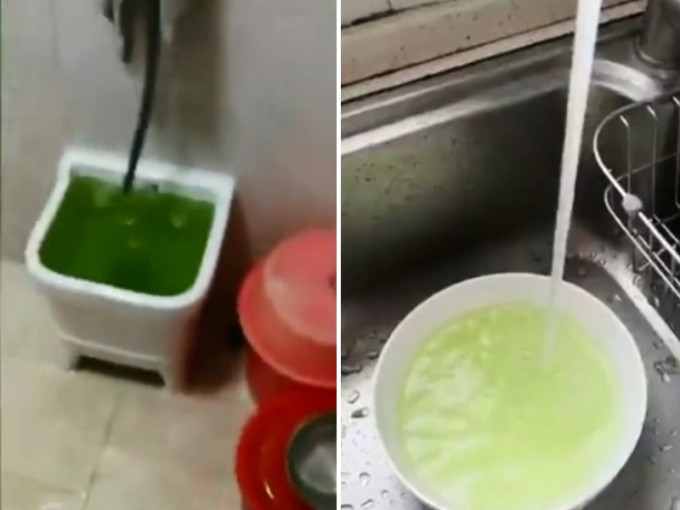 水龍頭所流出的水不僅呈現綠色，甚至還發出濃濃的腥臭味。　影片截圖