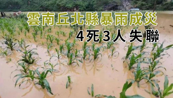 農田被水淹損失嚴重。網圖