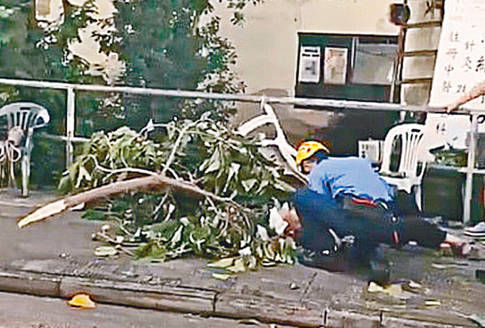 老婦被塌下樹枝壓困，消防員到場施救。