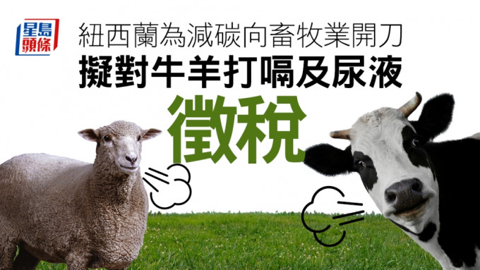 纽西兰计画对畜牲业徵税以减少温室气体。路透社资料图片