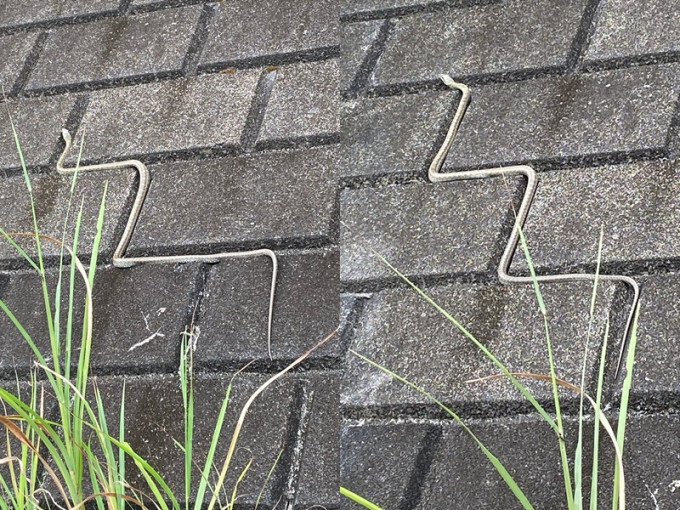 日本蛇仔沿石磚罅爬行。Twitter圖片