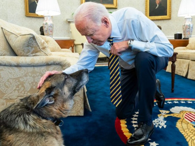 美國總統拜登及第一夫人吉爾所飼養的德國牧羊犬「冠軍」(Champ)離世。白宮圖片
