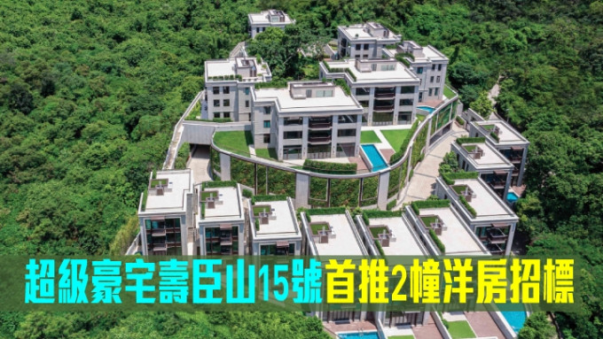 超级豪宅寿臣山15号首推2幢洋房招标。