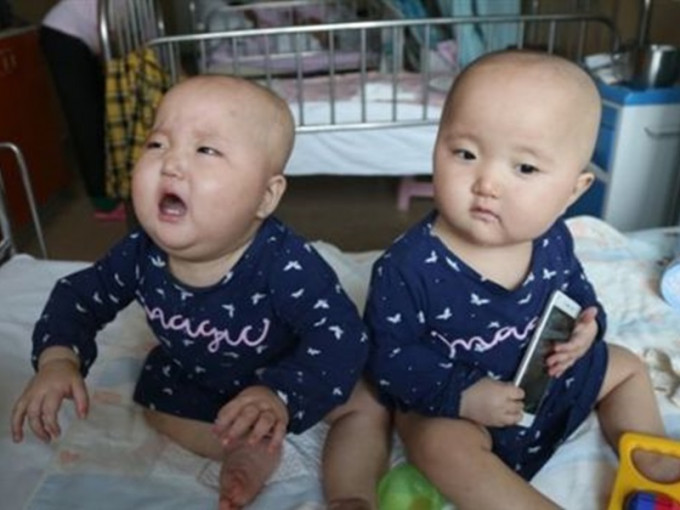 双胞胎女婴同患白血病。网上图片