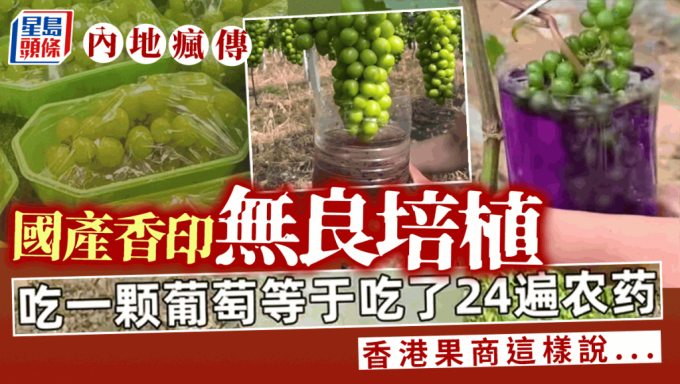 内地疯传国产香印「阳光玫瑰」农药问题引关注 网媒：打足24次农药都未超标？即睇资深果商点讲！