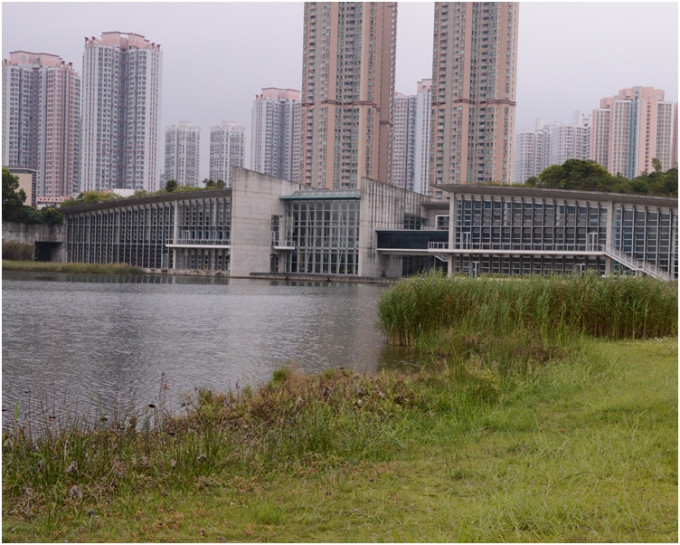 濕地公園暫停開放。