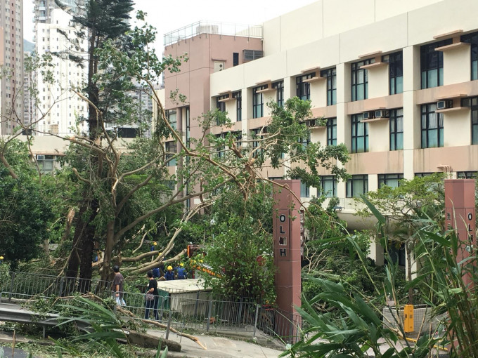 聖母醫院位於沙田抝道的緊急車輛通道因塌樹封路。讀者提供