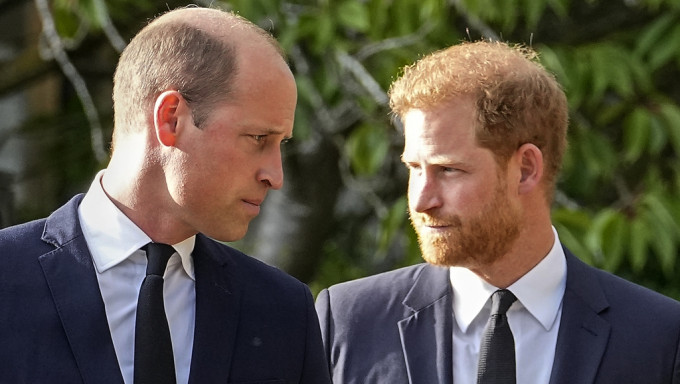 哈利(右)和英皇室关系紧张。