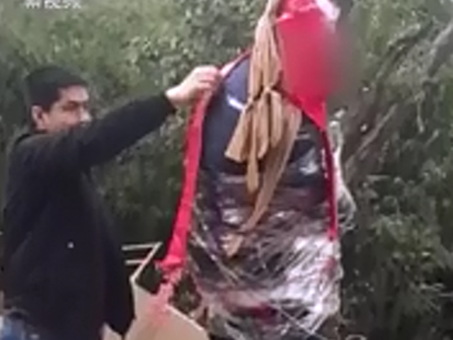 男子被親友用膠紙綁在樹上。 網圖