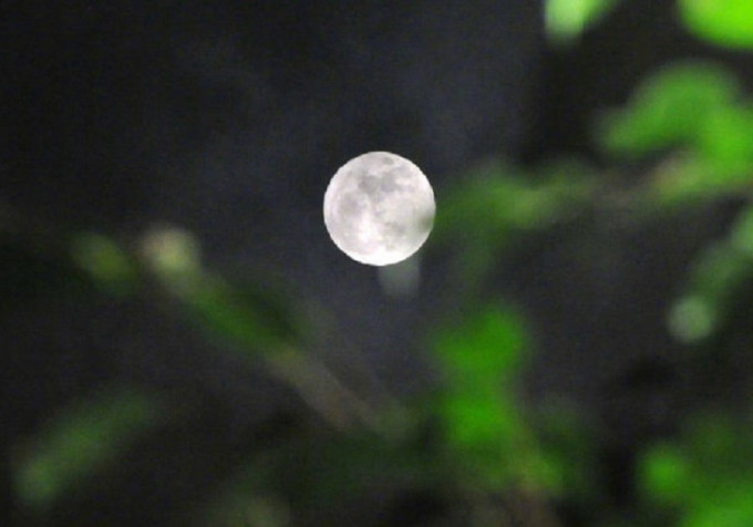 市民或未能观赏今年最大和最亮的月亮。网上图片