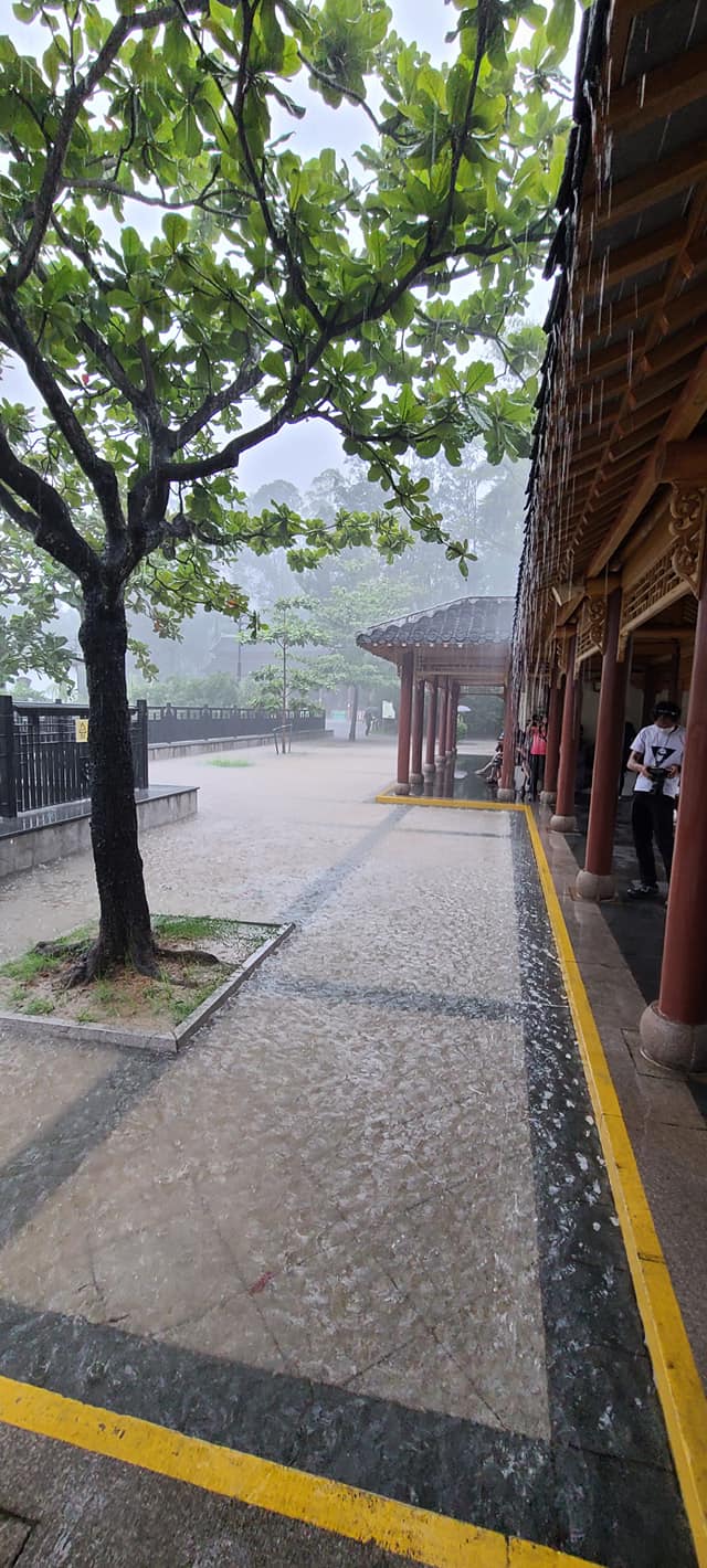市民在北區公園避雨。社區天氣觀測計劃網民Kamny Tang圖片
