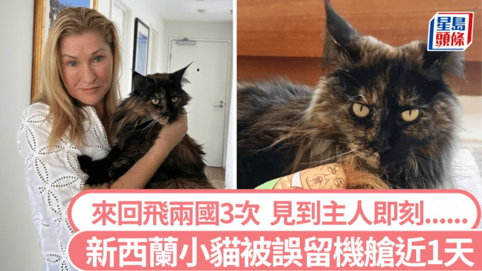 新西兰小猫被误留机舱近24小时，甫见主人即「咁做」......