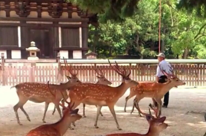 资料图片