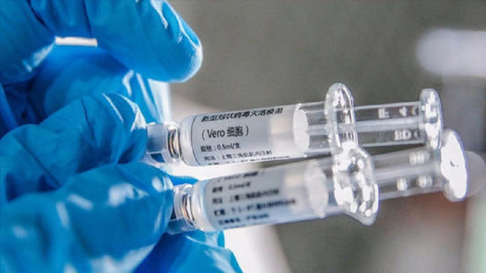 科兴指正准备疫苗第三期研究资料。网上图片