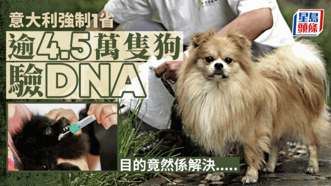 意大利地方政府下令全省狗狗驗DNA 是為了「這個目的」