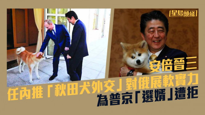 安倍晋三于任内曾利用「秋田犬外交」对俄罗斯展示软实力。AP资料图片