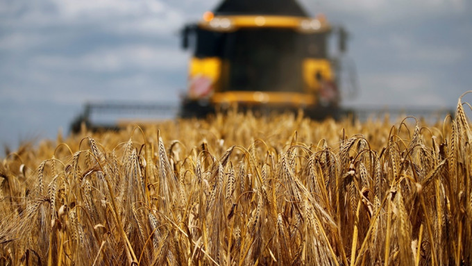 內地將允許俄羅斯全境小麥進口。資料圖片