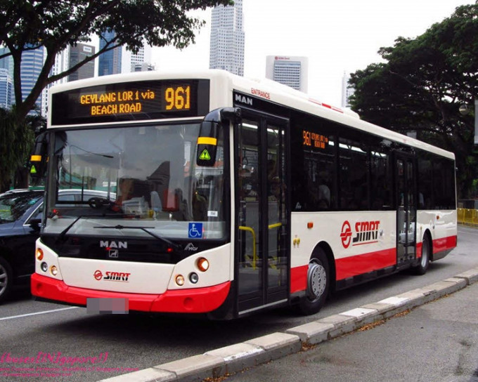 新加坡巴士。网图